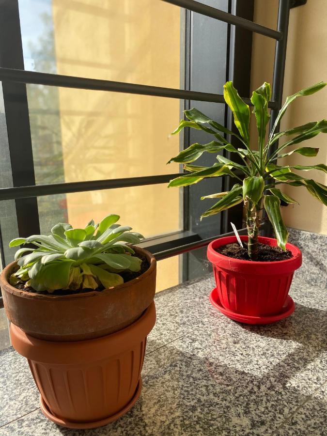 Appartamento Eliana Asti Luaran gambar